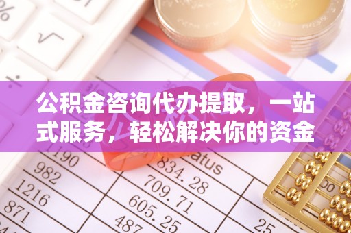 麻豆公积金咨询代办提取，一站式服务，轻松解决你的资金难题