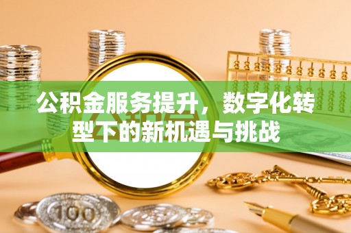 麻豆公积金服务提升，数字化转型下的新机遇与挑战
