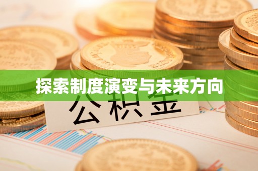 麻豆探索制度演变与未来方向