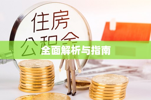 麻豆全面解析与指南