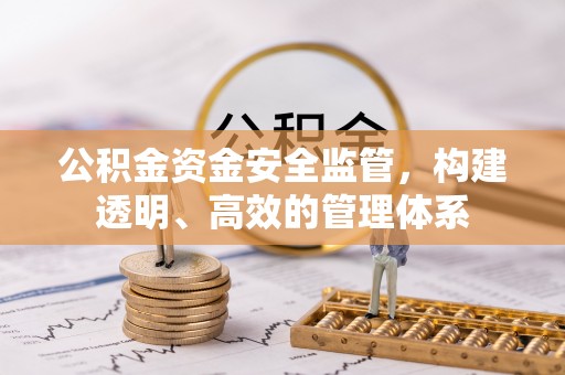 麻豆公积金资金安全监管，构建透明、高效的管理体系