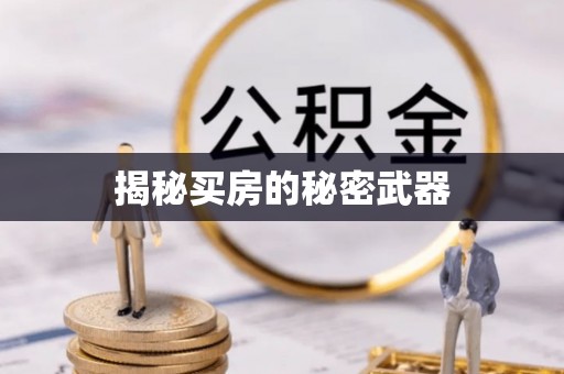 麻豆揭秘买房的秘密武器
