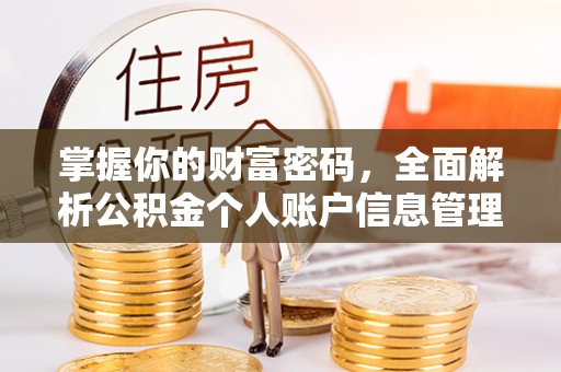 麻豆掌握你的财富密码，全面解析公积金个人账户信息管理