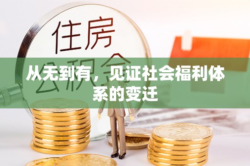 麻豆从无到有，见证社会福利体系的变迁