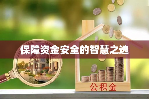 麻豆保障资金安全的智慧之选