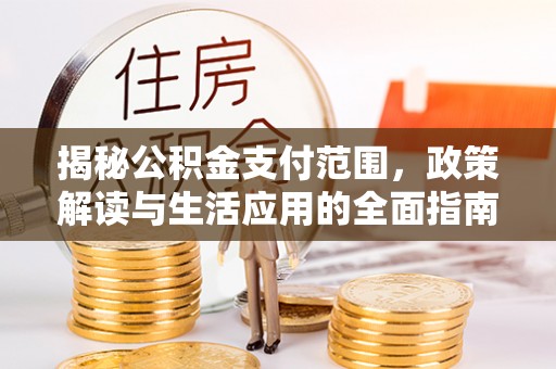 麻豆揭秘公积金支付范围，政策解读与生活应用的全面指南