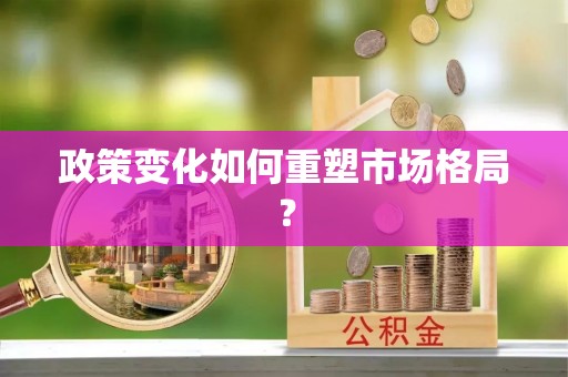 麻豆政策变化如何重塑市场格局？