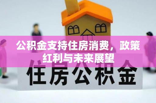 麻豆公积金支持住房消费，政策红利与未来展望