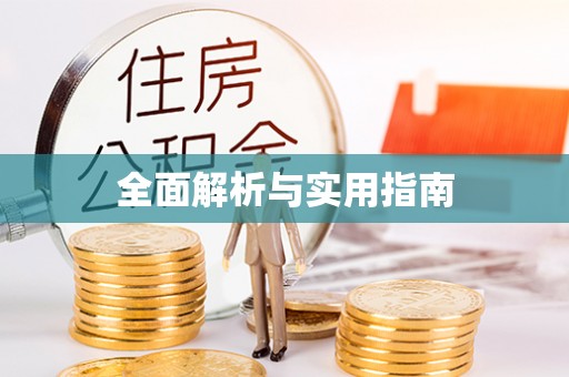 麻豆全面解析与实用指南