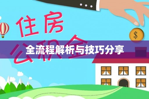 麻豆全流程解析与技巧分享